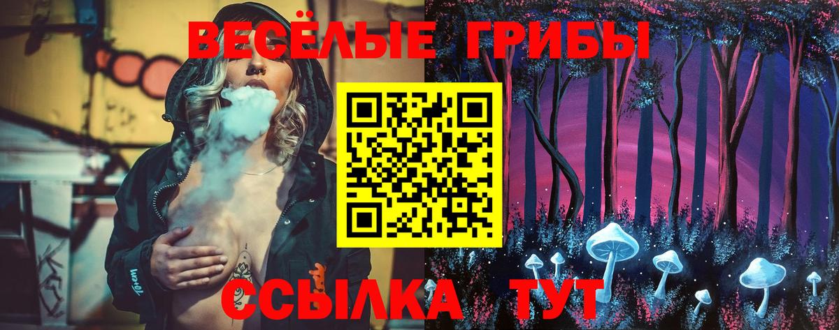 Саратов  Галлюциногенные грибы мухоморы  Вход с VPN  Псилоцибиновые грибы GOLDEN TEACHER 