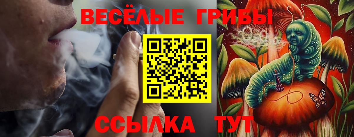 Псилоцибиновые грибы ЛСД Саратов